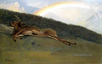  Bierstadt Galerie - Bierregenbogen über einen gefallenen Stag luminism Albert Bierstadt